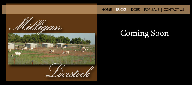 Milligan Livestock