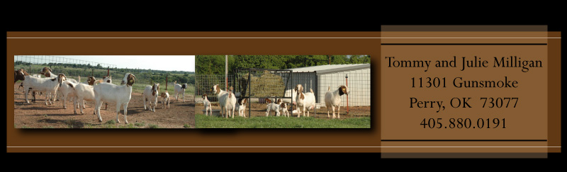 Milligan Livestock