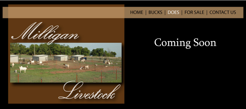Milligan Livestock