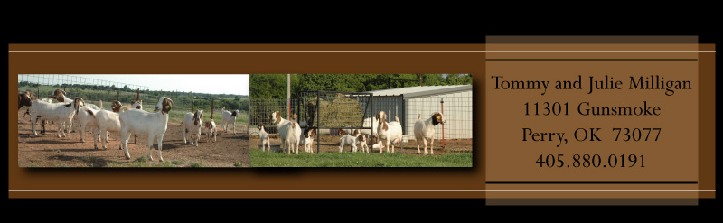 For Sale Footer